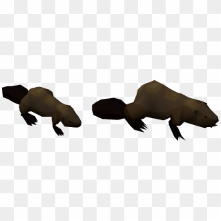 Forums - Eagle Clipart