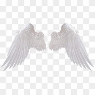 Angel Wings Png Clipart