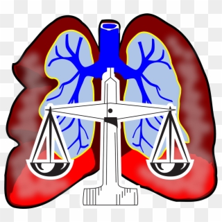 Lungs Clip Art - Lungs Clipart - Png Download