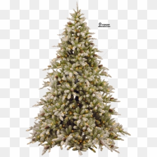 Free Png Download Fir-tree Png Pic Png Images Background - Christmas Tree Transparent Hd Clipart