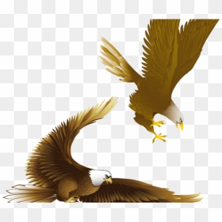 Drawn Bald Eagle Vector - Burung Elang Png Clipart