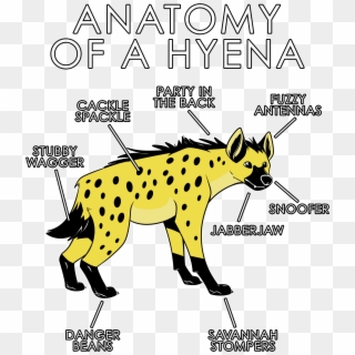 Anatomy Of A Hyena - Blue Hyena Art Clipart