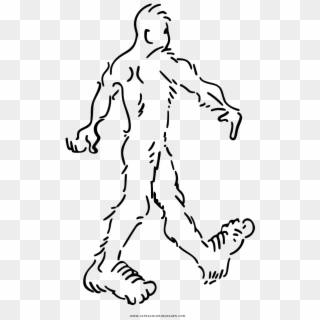Sasquatch Coloring Page - Illustration Clipart