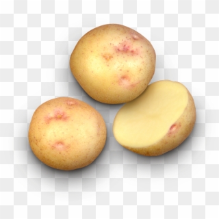 Alaska Bloom Potato - Yukon Gold Potato Clipart