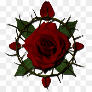 View Forum - Rose With Thorns Png Clipart
