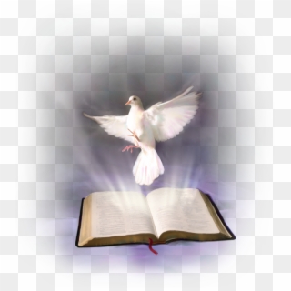 White Dove And The Bible Clipart