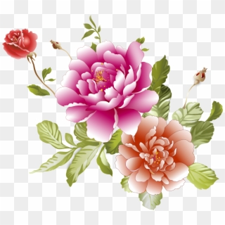 Centifolia Roses Floral - 牡丹 花 图片 下载 Clipart