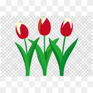 Tulip Clipart Tulip Flower Clip Art - Png Download