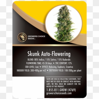 Home » Products » Skunk Auto-flowering Feminized Cannabis Clipart
