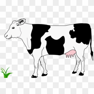 Banner Transparent Stock Top Of In Pictures - Black And White Image Of Cow Clipart