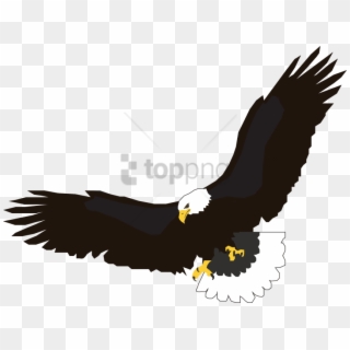 Free Png Download Eagle Flying Png Images Background - Transparent Eagle Clipart