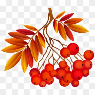 Autumn Plant Png Image Gallery Yopriceville High Clipart