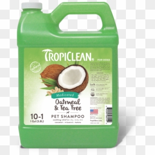 Rollover To Zoom - Tropiclean Oatmeal And Tea Tree Pet Shampoo Clipart