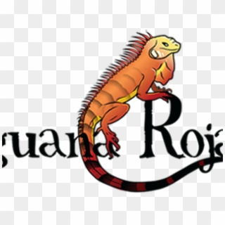 Iguana Clipart Orange - Png Download