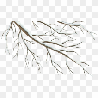 Free Png Winter Branch Png - Winter Branch Birds Illustration Clipart