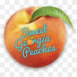 Sundaysupper Brand Partnerships Lets Work Together - Peach Clipart