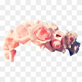 Pink Rose Clipart Rose Crown - Flower Crown Without Background - Png Download