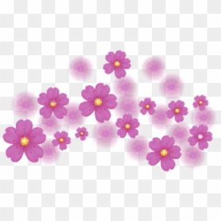#crown #flowers #pink #sparkle #crowns #flowercrowns - Viola Clipart
