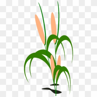 Corn Field Clipart At Getdrawings - Png Download