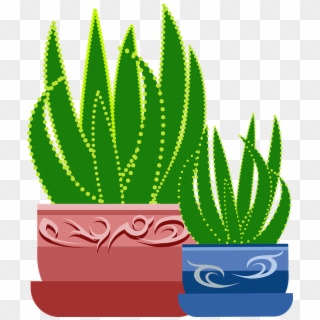 Graphic, Aloe, Plant, Cactus, Botanical, Healing - Cây Lô Hội Vector Clipart