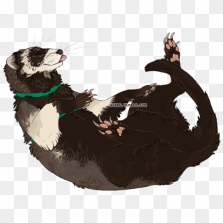 Ive Never Drawn A Ferret Before But I've Drawn Otters - Illustration Clipart