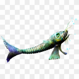 Piranha Png Clipart - Insect Transparent Png