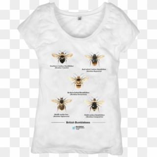 British Bumblebees Top - T-shirt Clipart