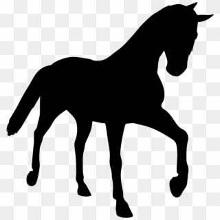 Horse Young Black Silhouette In Perspective Comments - Perspective And Silhouette Clipart
