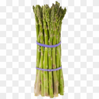 Free Png Download Asparagus Png Images Background Png - Asparagus Jpg Clipart