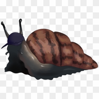 Dean Didn't Choose The Slug Life - Illustration Clipart