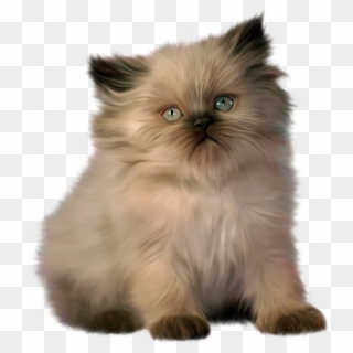 View Full Size - Ragdoll And Bengal Kittens Clipart