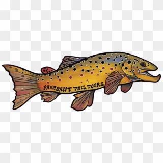1242 X 470 6 - Brown Trout Clipart
