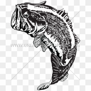 Large Mouth Bass Jumping Clipart