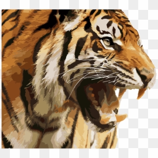 Big Image - Angry Tiger Face Png Clipart