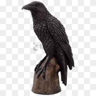 Free Png Black Raven Bird On Stump Statue Cold Cast Clipart