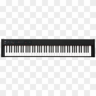 Korg D1 Digital Piano Compact Real Weighted Hammer - Casio Px 160 Bk Privia Clipart