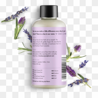 Love Beauty And Planet Argan Oil & Lavender Shampoo - Love Beauty And Planet Deodorant Clipart