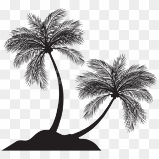 Free Png Two Palm Trees Silhouette Png Png Clipart