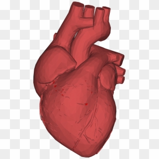 Low Poly 3d Heart Red Png Black And White - 3d Human Heart Images Png Clipart