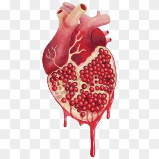 Medical Art, Anatomical Heart, Pomegranate Tattoo, - Pomegranate Heart Clipart