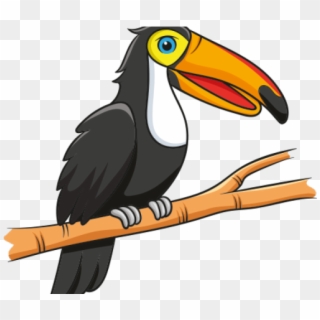 Toucan Clipart Real - Png Download