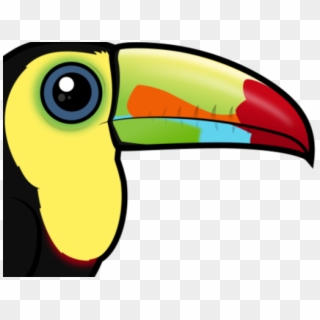 Toucan Clipart Cute Baby - Toucan - Png Download
