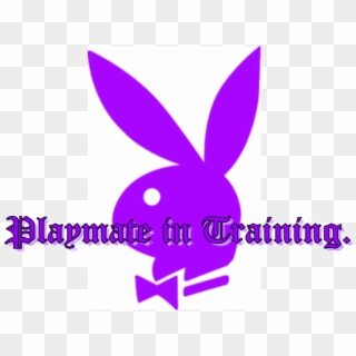 Playboy Playmate Photo - Domestic Rabbit Clipart