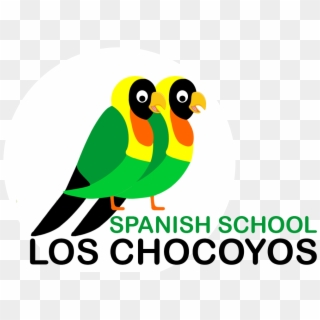 Learn Guatemala School Quetzaltenango Studying At - Spanish Clipart