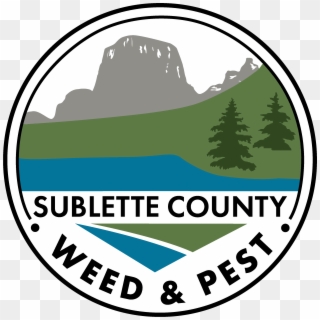 Colorado Spruce Clipart