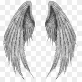 #alas #angel #angels #alasdeangel - Fantasy Wings Clipart