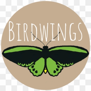 Birdwings Offers A Variety Of Mobile Nature Immersion - Lycaenid Clipart