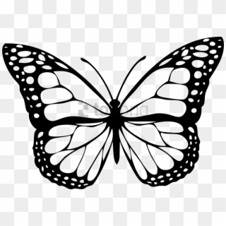 Free Png Download Butterfly White Png Images Background - Butterfly Clipart Black And White Transparent Png