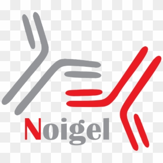 Noigel Logo Noigel Logo Noigel Logo Noigel Logo - Graphic Design Clipart