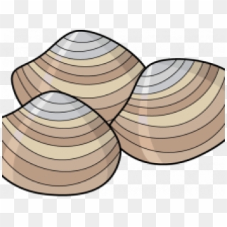 Clams Clipart Bivalve - Shellfish Clipart - Png Download